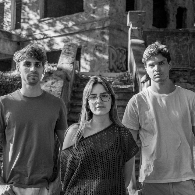 The three members of Pictures In Mono photographed outdoors on a stone staircase.